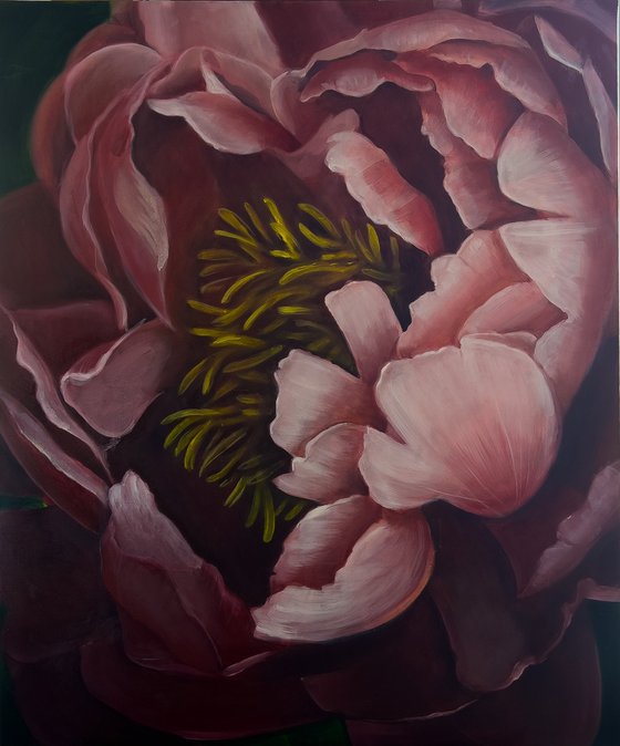 Antique Rose Peony