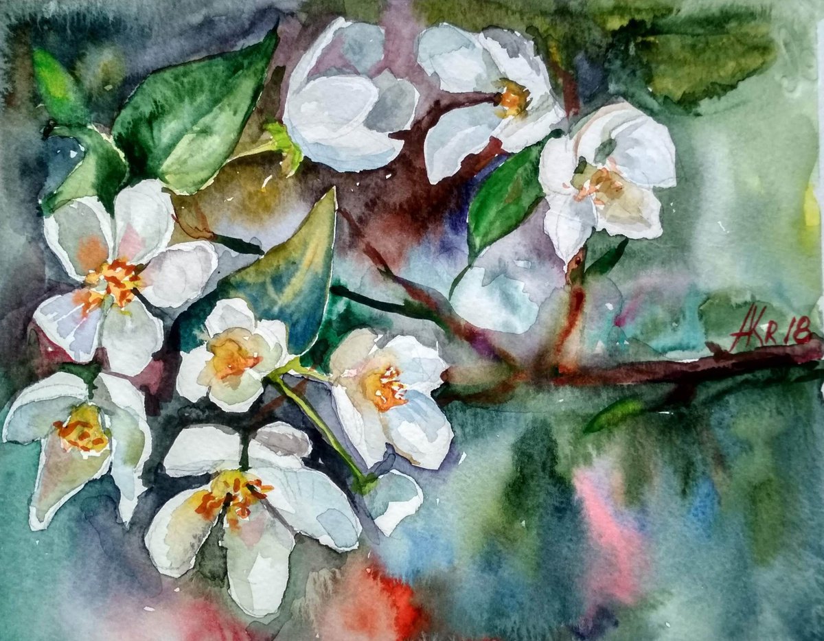 Cherry blossom by Ann Krasikova