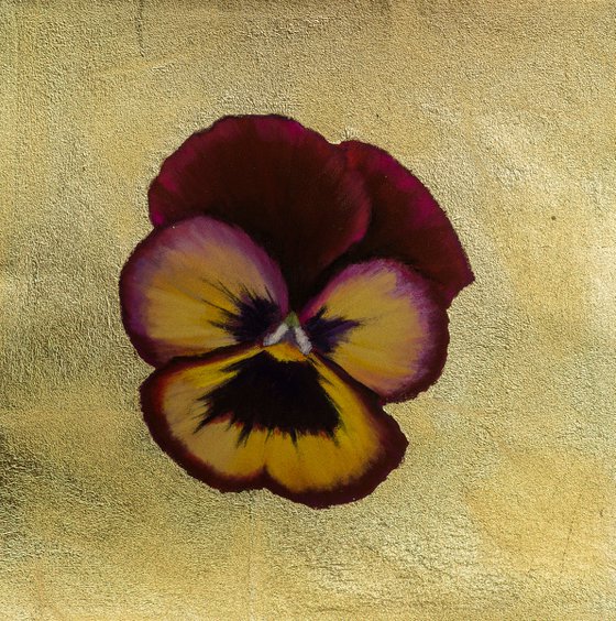 Pansy #16