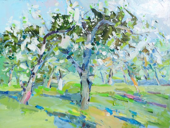 " Apple orchards"