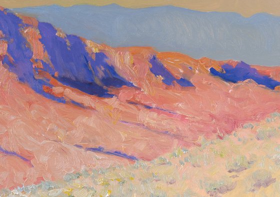 Desert Landscape
