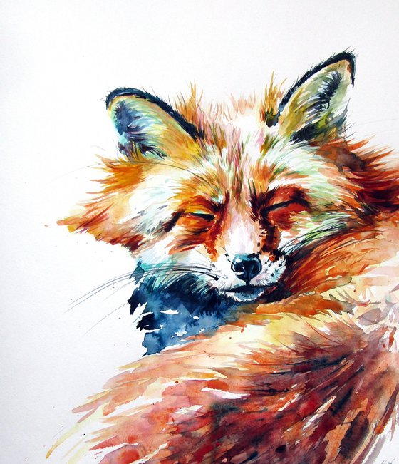 Sleeping red fox