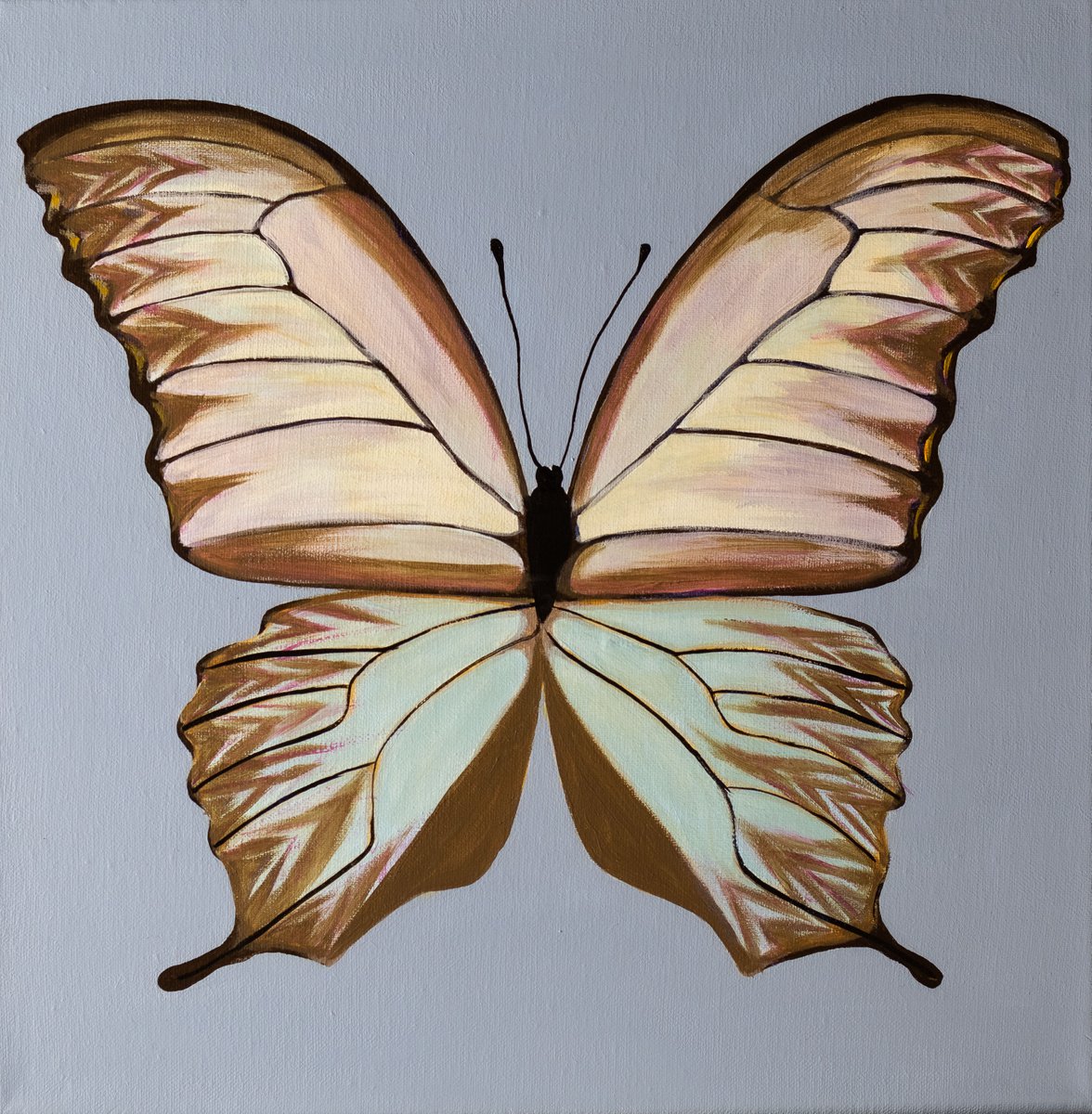 Graceful butterfly / Modern painting with buterfly by Daria Shalik