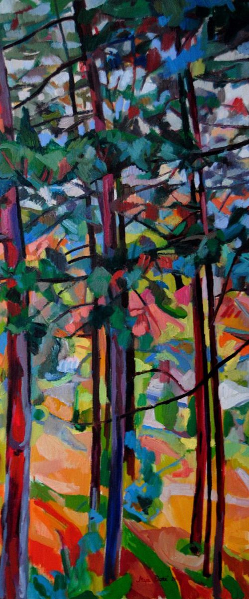 Mirrors of the forest by Maja Đokić Mihajlović
