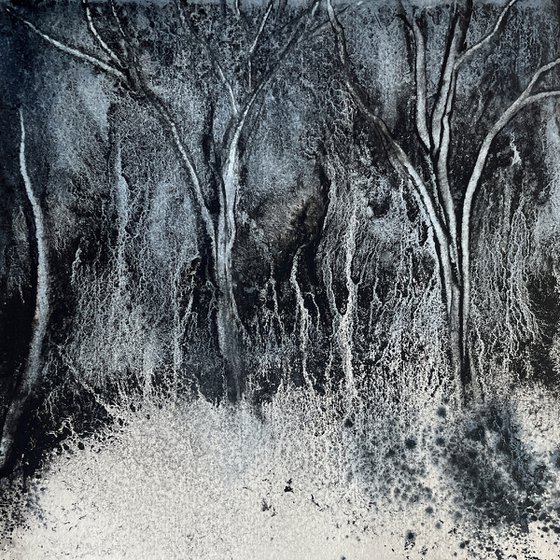 Woods IV 2026