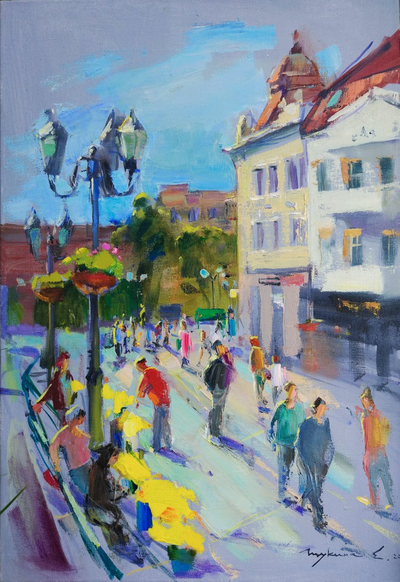 View from the bridge in Uzhgorod Ukrainian landscape Ancient European city by Helen Shukina