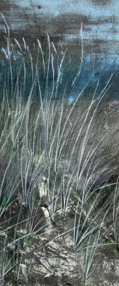 Tempted - Dunes, Dusk by Diane McLellan