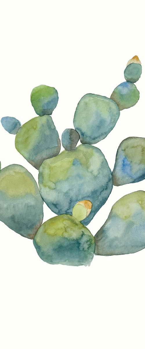 Watercolor Cactus 1 by Irina Anis