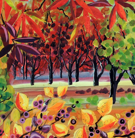 Red Acers Purple Berries