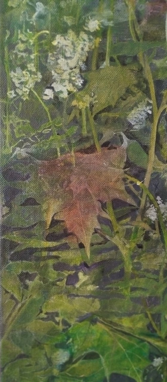 Nature After