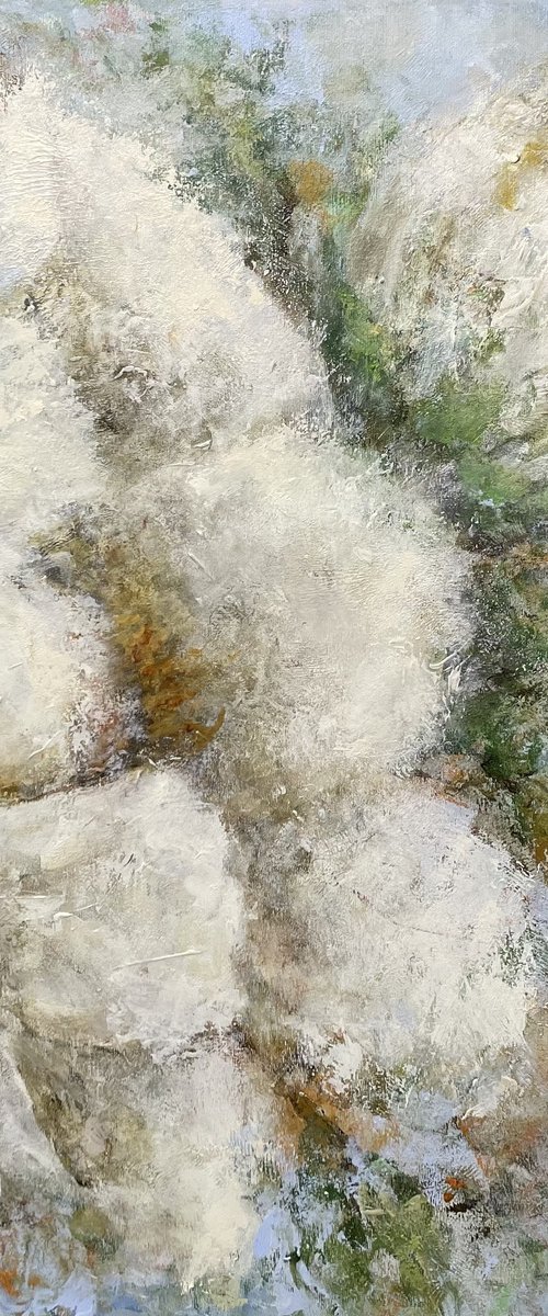 White blossom by Miri Baruch