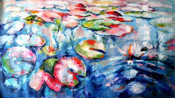 Colorful water lilies