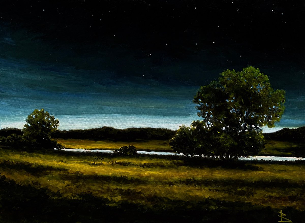 Impressionistic Landscape Oil Painting By Oleg Baulin, 16 X 12", At Night, Original Artwork