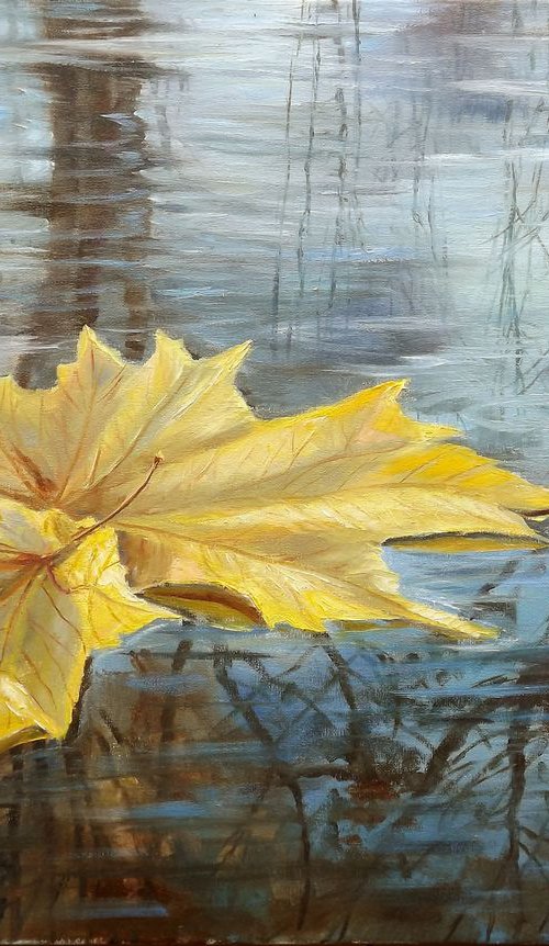 Maple Leaf by Dalia Barke