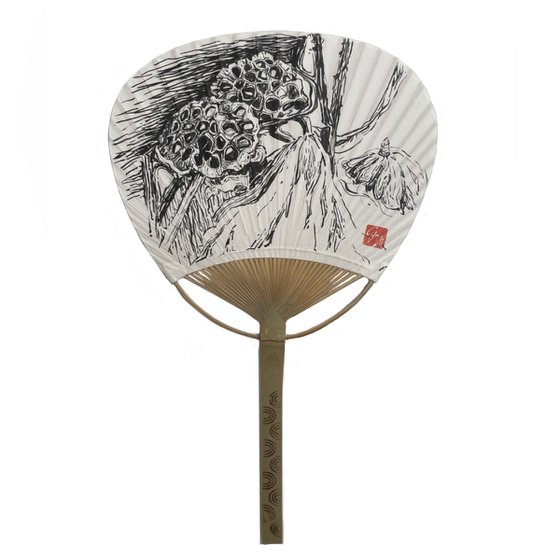 Lotus pods and seeds