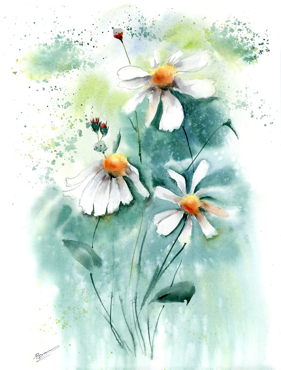 Daisies flowers (1 of 2) - Original Watercolor Painting by Olga Shefranov (Tchefranova)