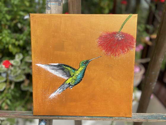 Green Throated Carib