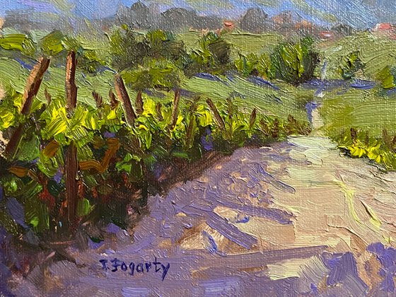 Vineyards Road