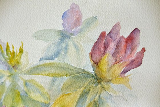 RHODODENDRON II. DREAM GARDEN original watercolor 41x31