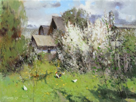 In the May Sun