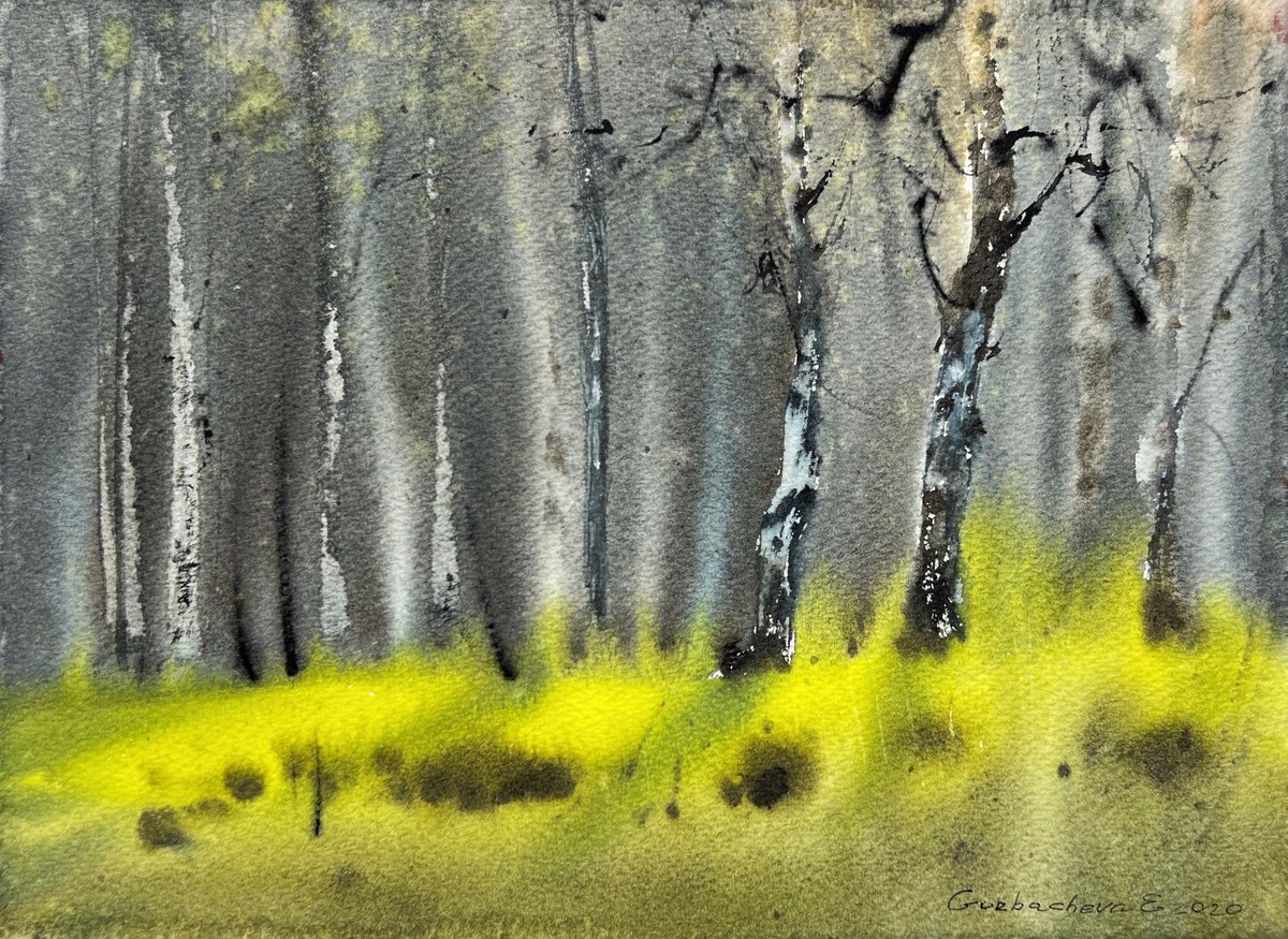 Impressionistic Watercolour , Birch Grove #5 By Eugenia Gorbacheva, 12 X 9, Artwork For Sale On Artfinder