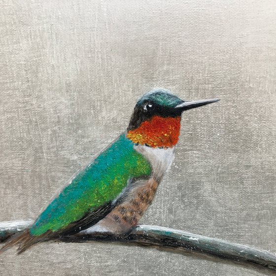 Ruby-throated Hummingbird ~ on silver