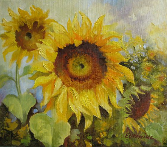 Sunflowers