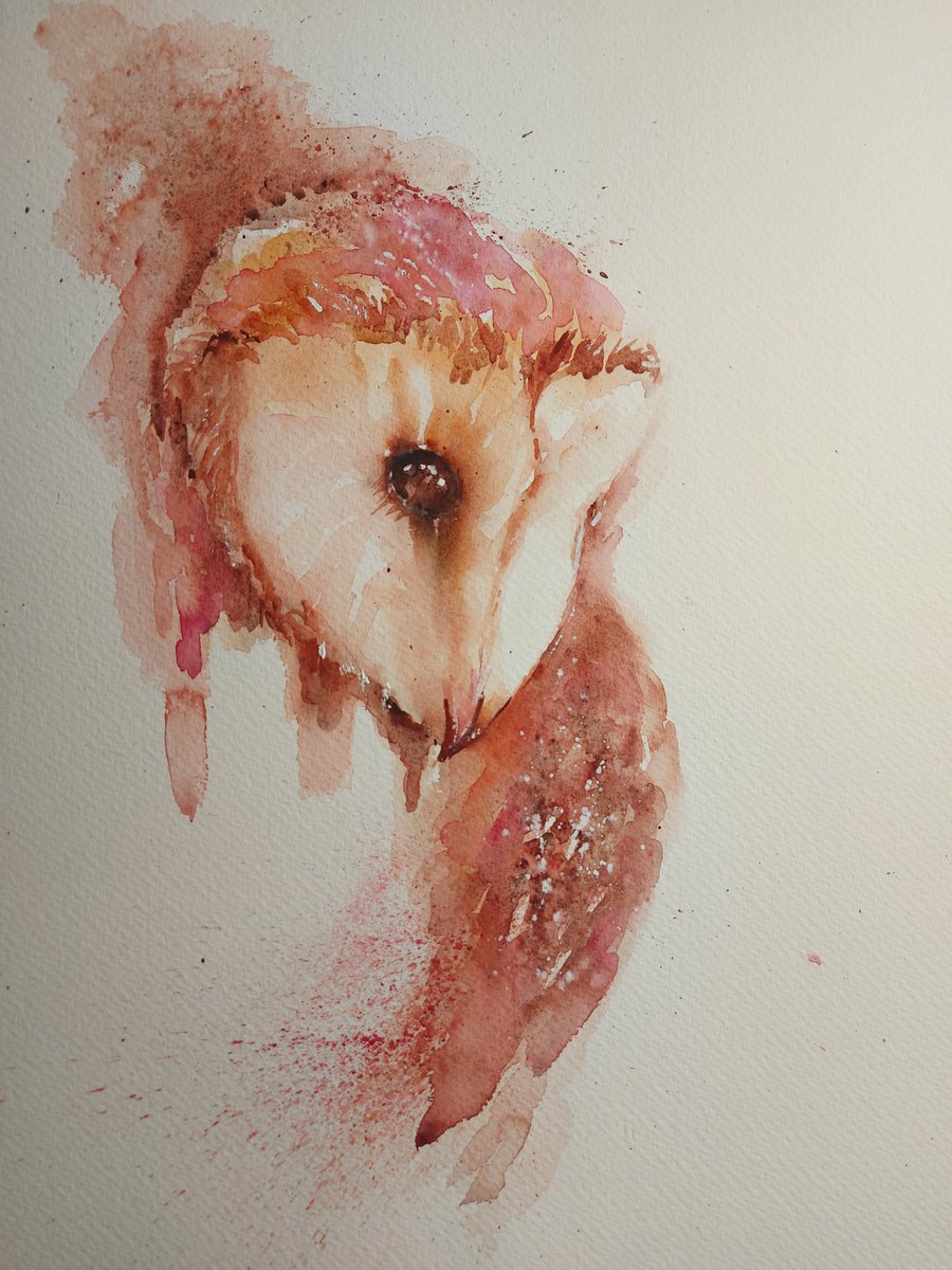 Owl portrait by Sue Green