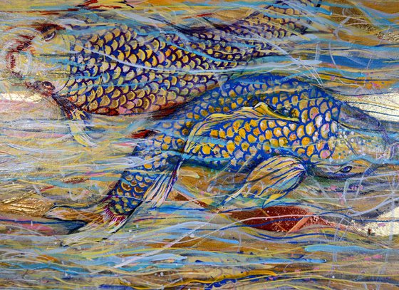 Koi Fish and the Swift Current of the Golden River