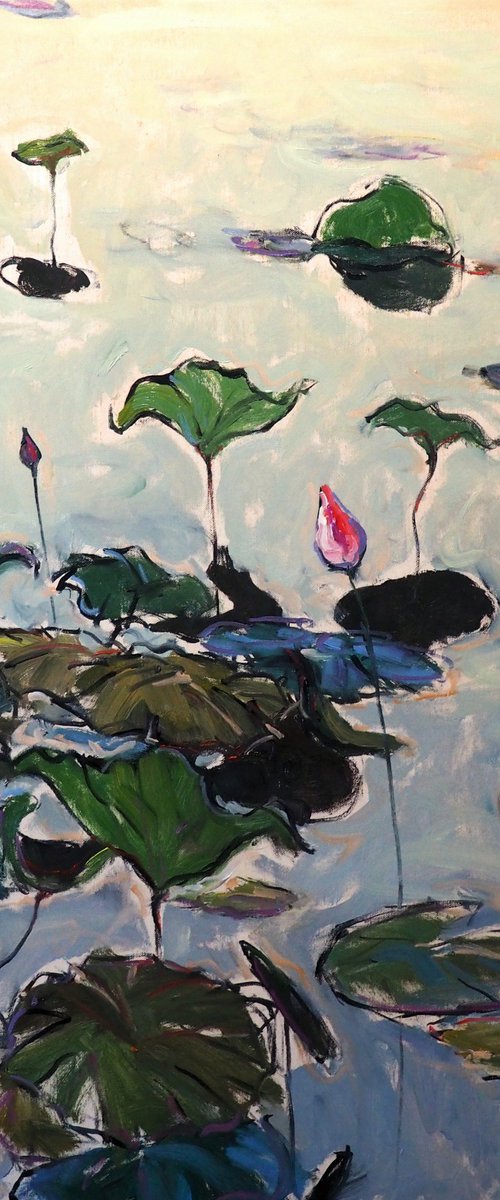 Lotus leaves by Yuanyuan Liu
