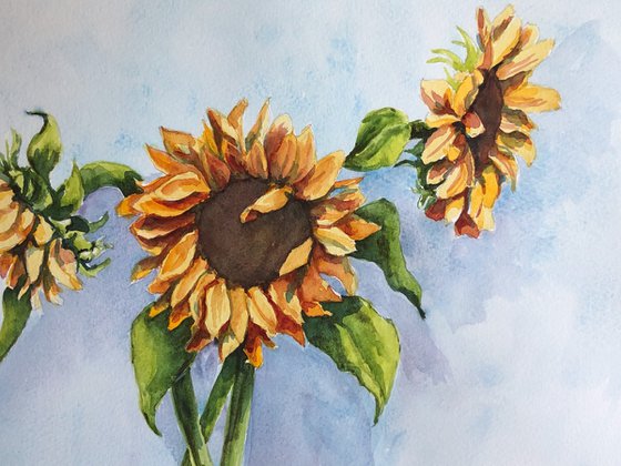 Sunflowers