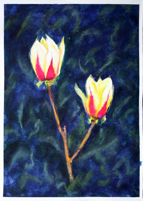 Warm evening... Magnolia in the night... /  ORIGINAL PAINTING by Salana Art Gallery