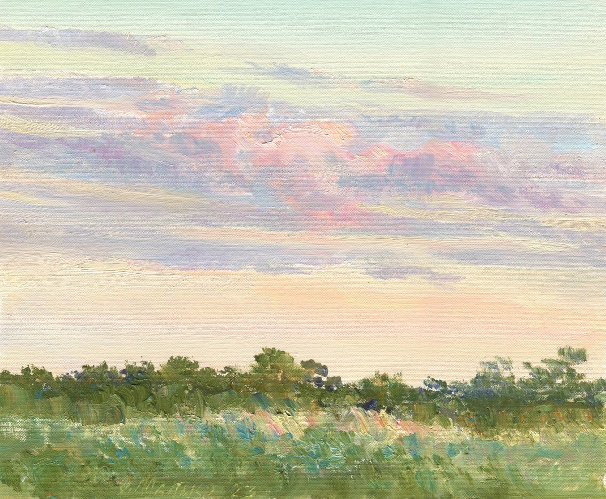 Impressionistic Landscape Oil Painting By Olha Malko, 12 X 10", A Small Pink Cloud, Original Artwork