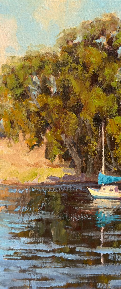 Boat On Tomales Bay by Tatyana Fogarty