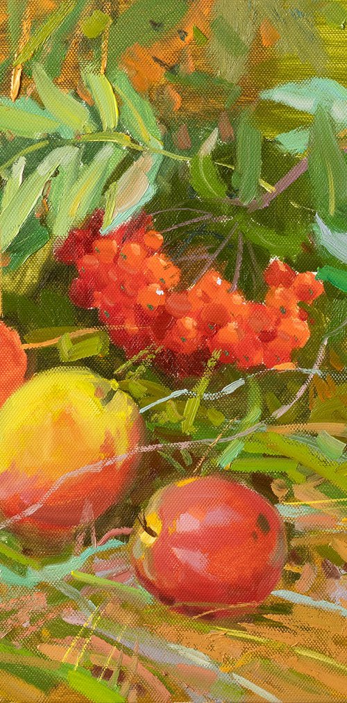 Wild apples by Alexey Pleshkov