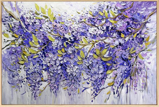 Wisteria