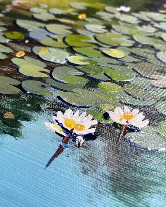 Water lilies. In the light of summer gold.