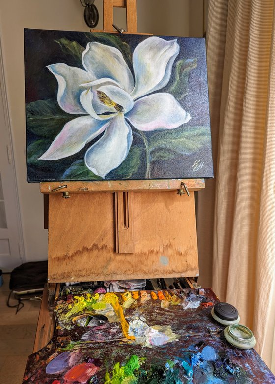 Magnolia flower