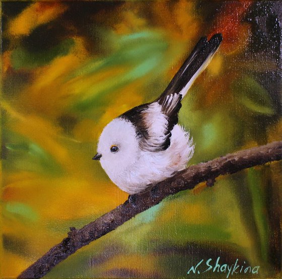 Long-Tailed Tit Bird in Autumn