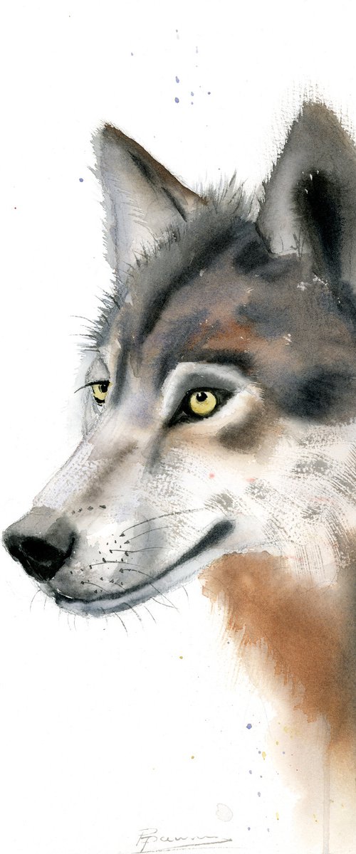 Watercolor Wolf portrait by Olga Tchefranov (Shefranov)