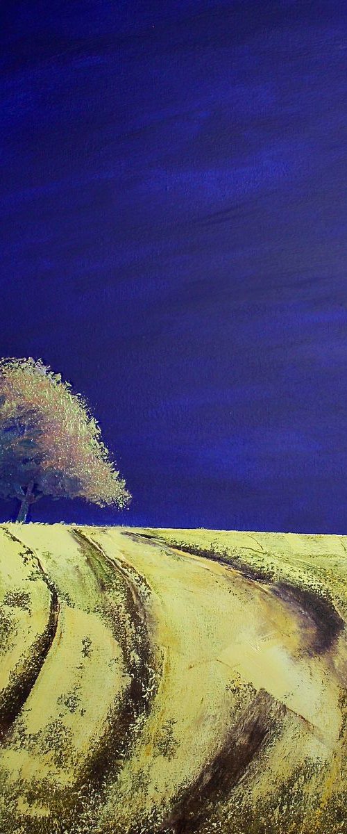 Solaris Dreamfields X by Simon Jones