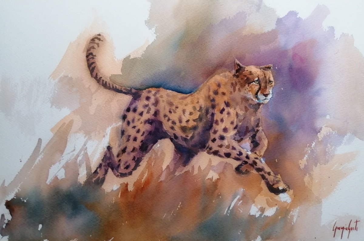 Impressionistic Watercolour , Cheetah 12 By Giorgio Gosti, 21 X 14, Artwork For Sale On Artfinder