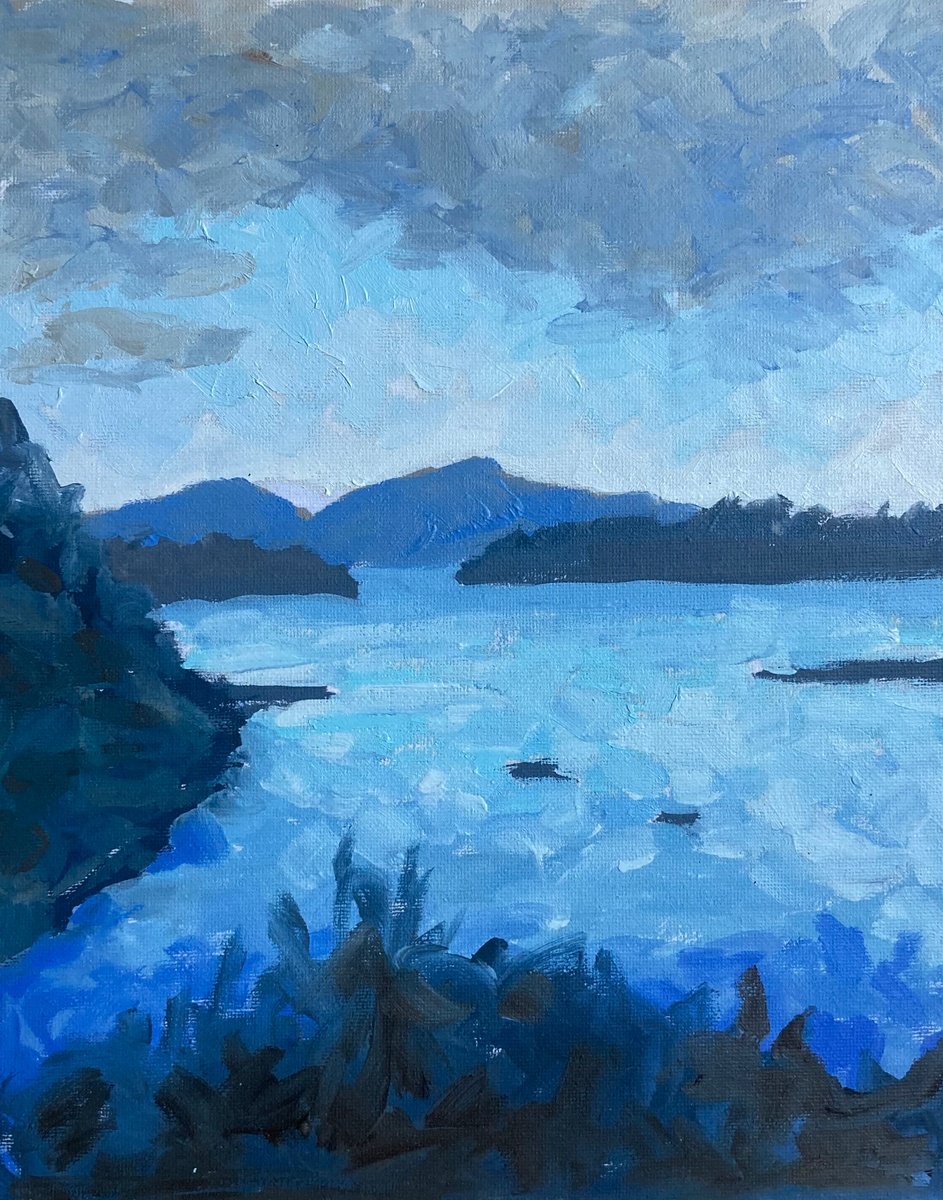 View across to Bantry Bay by Wayne Peachey