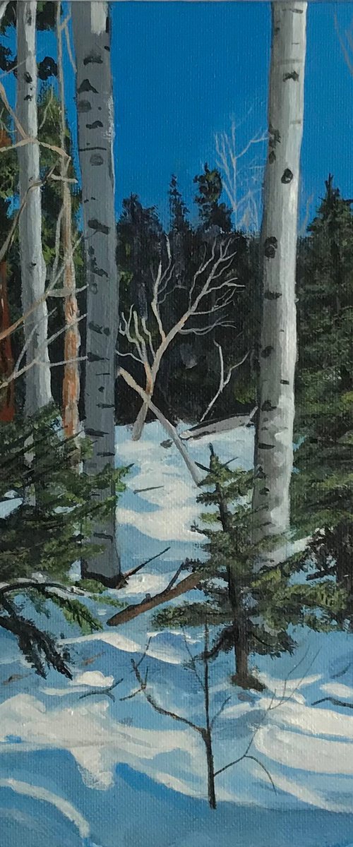 Midwinter Sunshine by Alastair Paynter