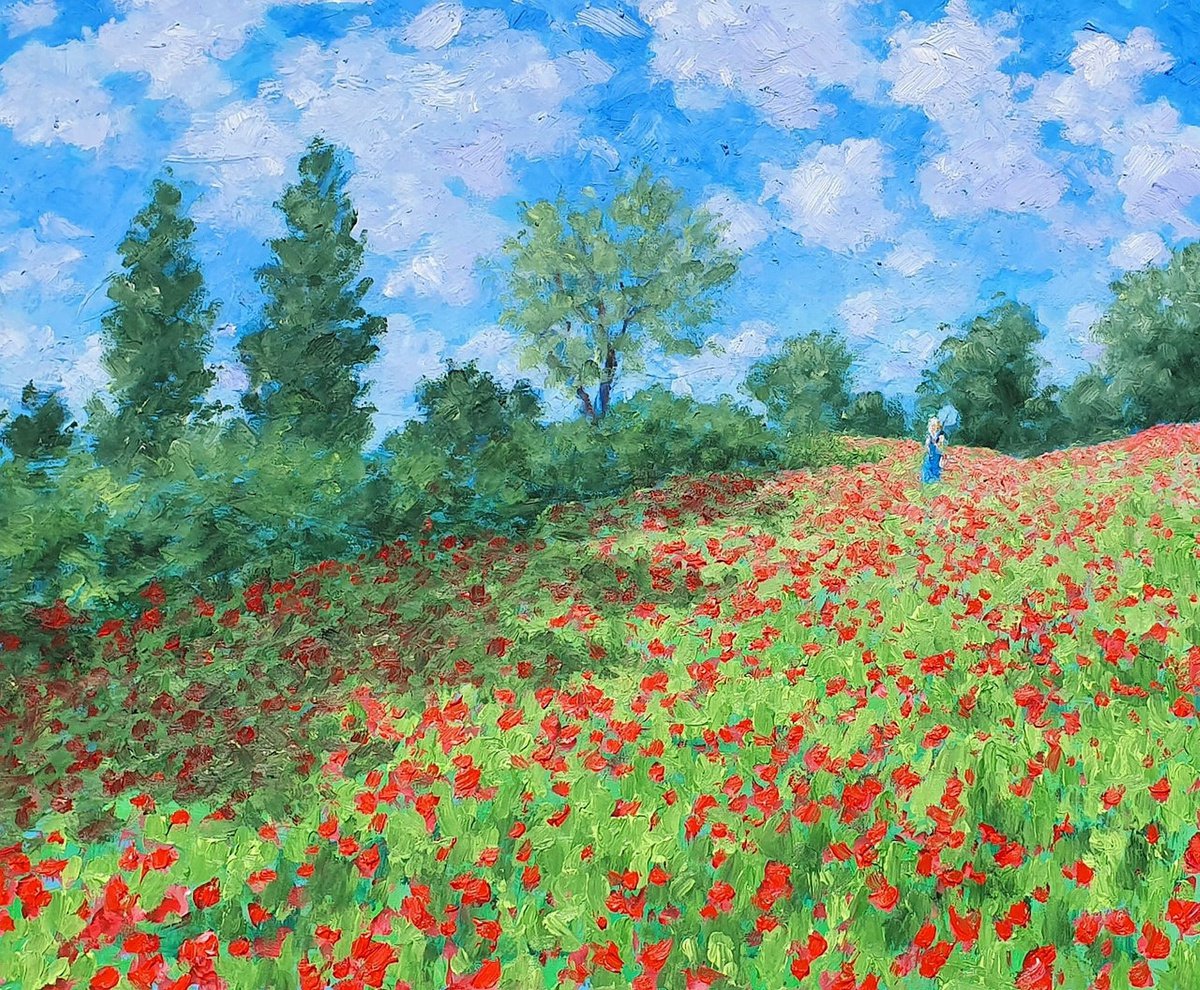 poppy field 1 by Colin Ross Jack