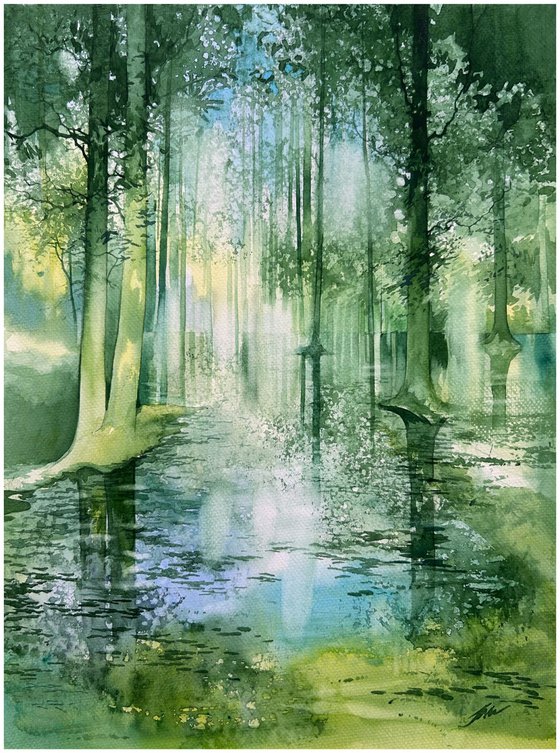 Forest Reflections