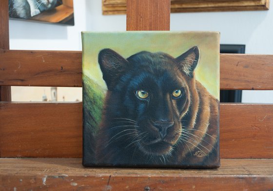 Black panther portrait