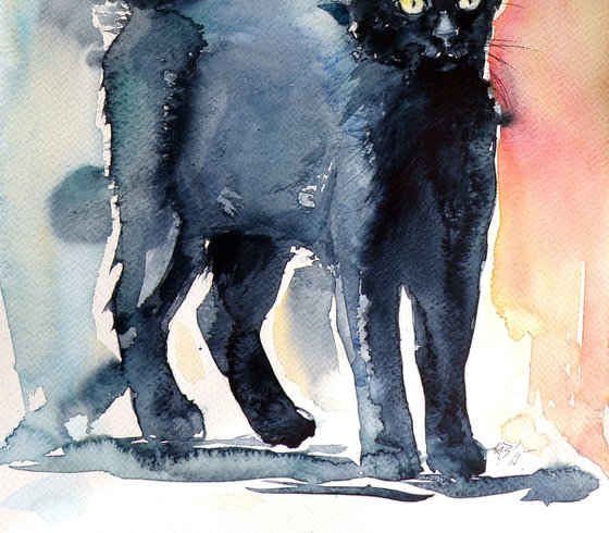 Black cat III