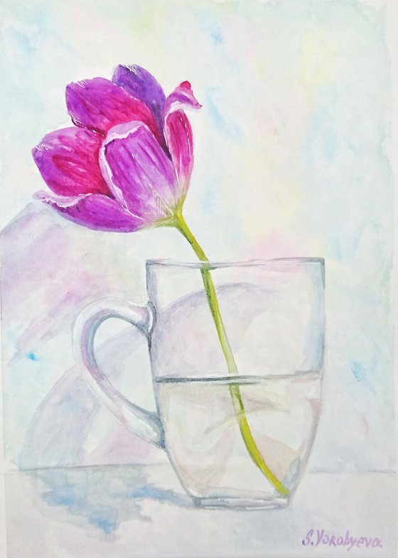 Tulip in a glass cup
