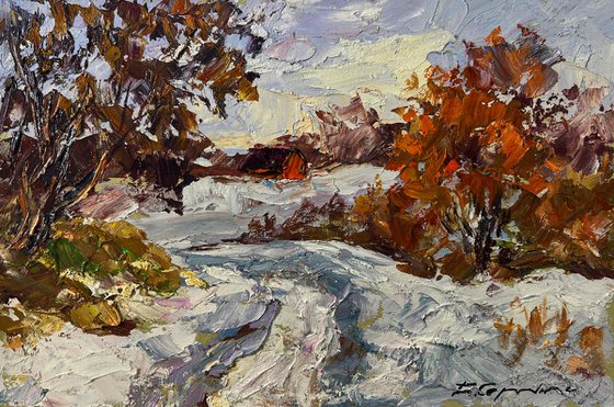 Snowy Road in the Forest